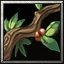 ironwood branch